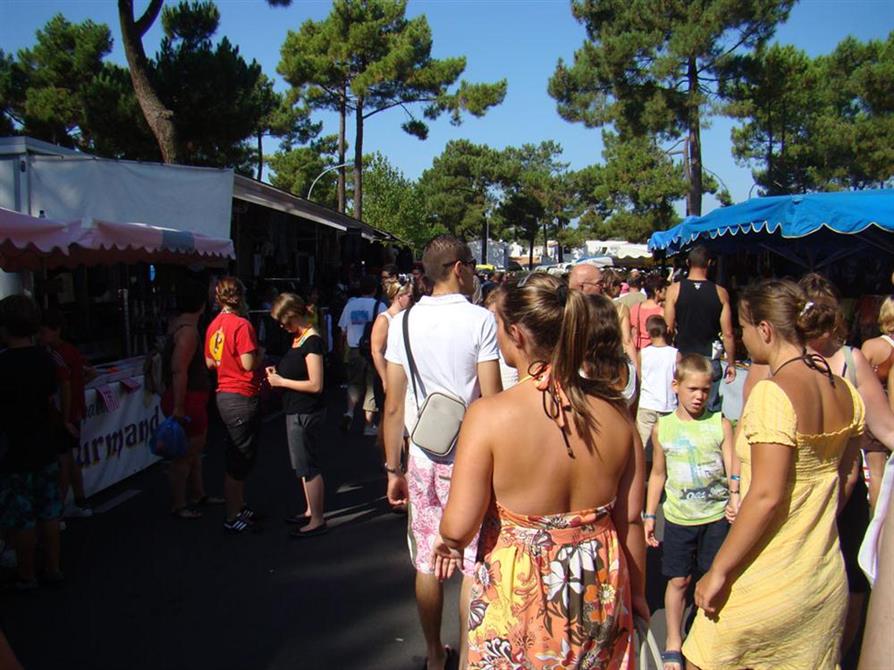 marché de la palmyre proche camping*** beausoleil près de royan charente maritime