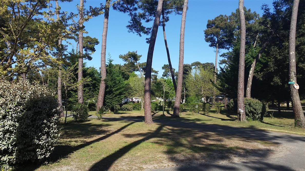 emplacements camping*** beausoleil la palmyre proche royan charente maritime