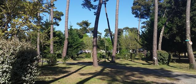 emplacements camping*** beausoleil la palmyre proche royan charente maritime